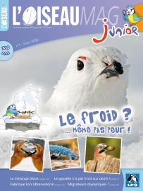 Couverture de l'OISEAU MAG JUNIOR n°1